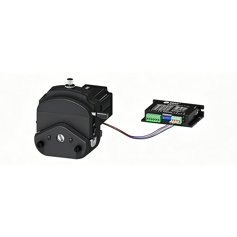 BJ30 view 5