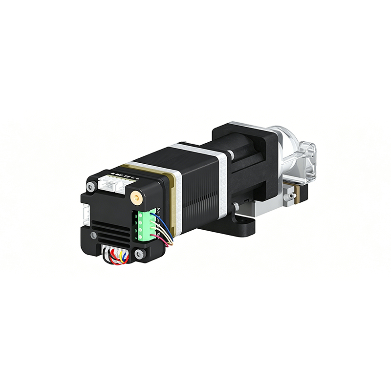 Rp-01 view 4